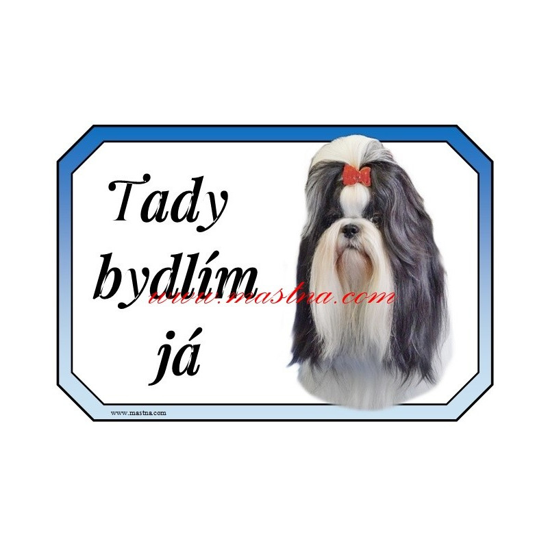 Cedulka šitzu, shih -tzu