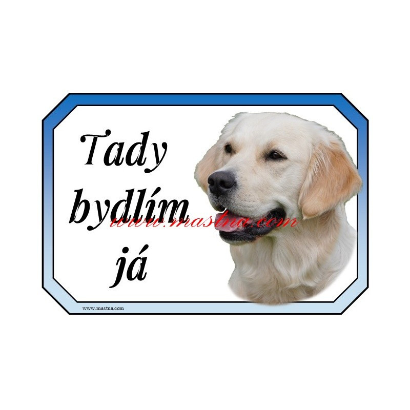 Cedulka zlatý retrívr, golden