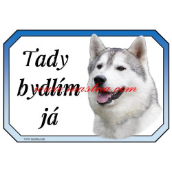 Cedulka sibiřský husky