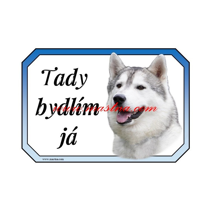 Cedulka sibiřský husky