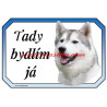 Cedulka sibiřský husky