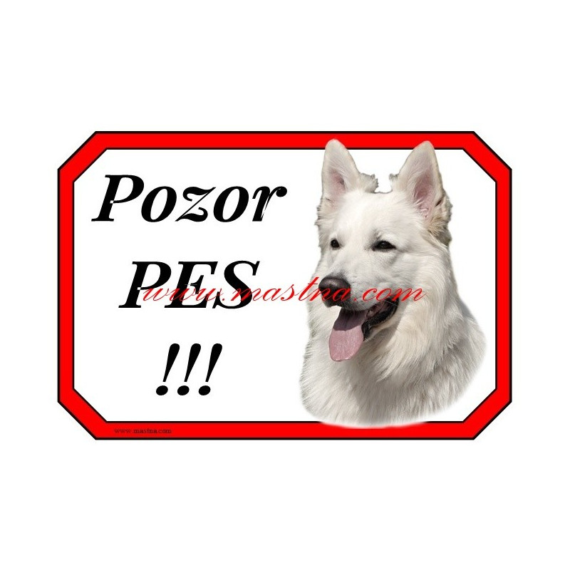 Cedulka bílý švýcarský ovčák