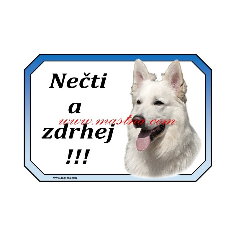 Cedulka bílý švýcarský ovčák