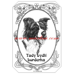 Tabulka border kolie