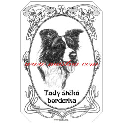 Tabulka border kolie