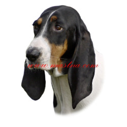 Samolepka bernský honič