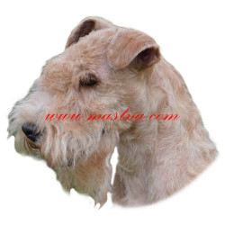 Samolepka lakeland teriér