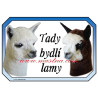 Cedulka lama alpaka