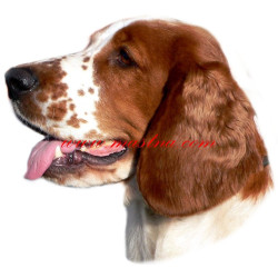 Samolepka velššpringršpaněl