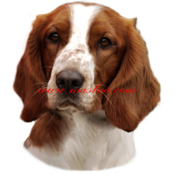 Samolepka velššpringršpaněl