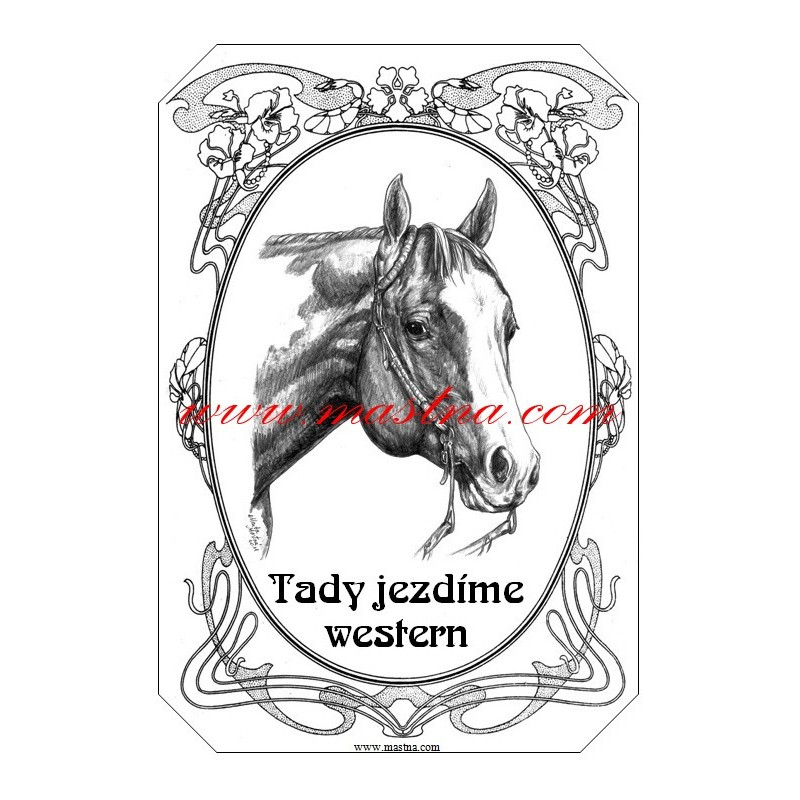 Tabulka paint horse, kůň, koně, western