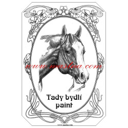 Tabulka paint horse, kůň, koně, western