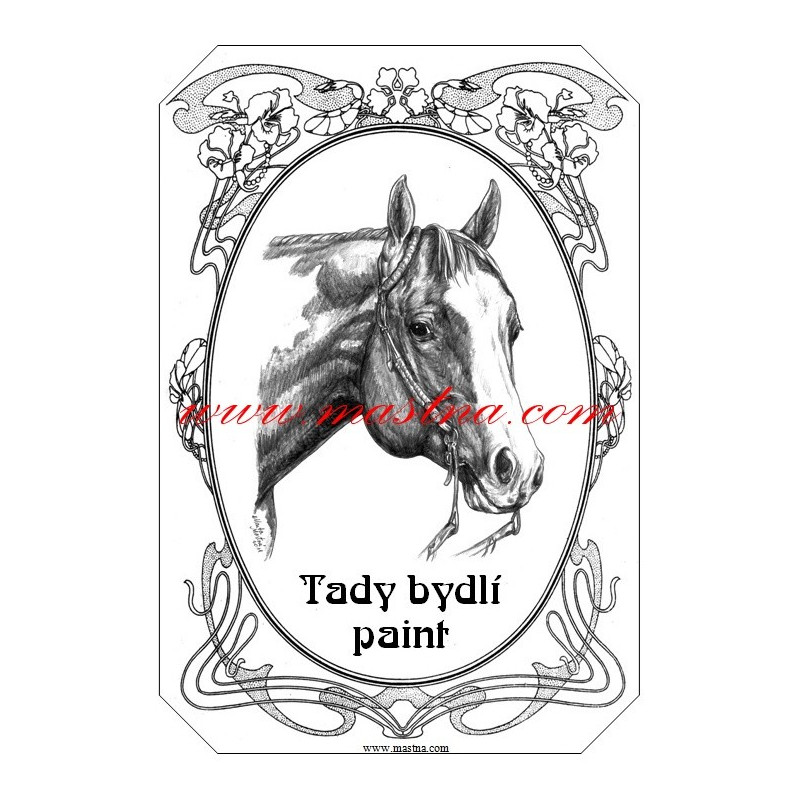 Tabulka paint horse, kůň, koně, western