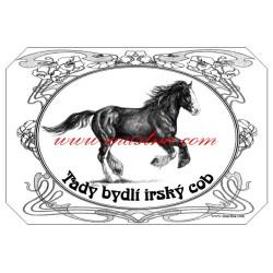 Tabulka irský cob, tinker, kůň, koně