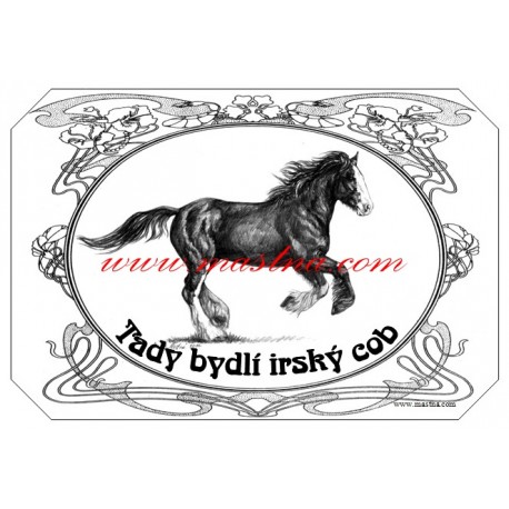 Tabulka irský cob, tinker, kůň, koně
