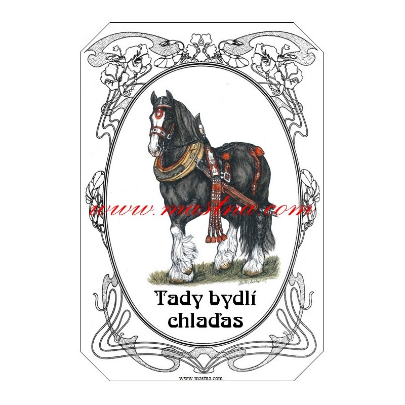 Tabulka shire horse, chladnokrevník, kůň, koně