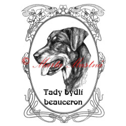 Tabulka francouský ovčák beauceron