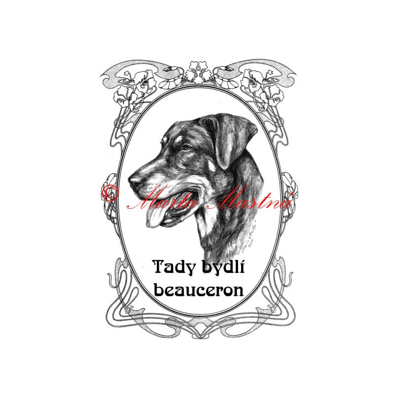 Tabulka francouský ovčák beauceron