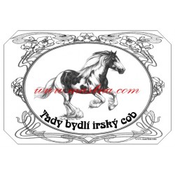 Tabulka irský cob, tinker, kůň, koně
