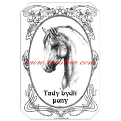 Tabulka pony, velšpony