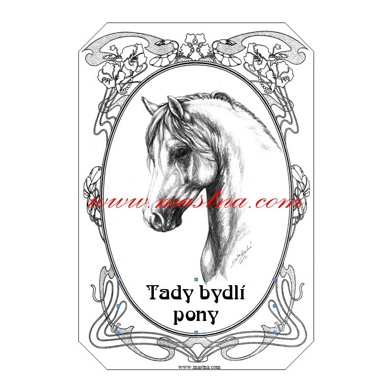 Tabulka pony, velšpony