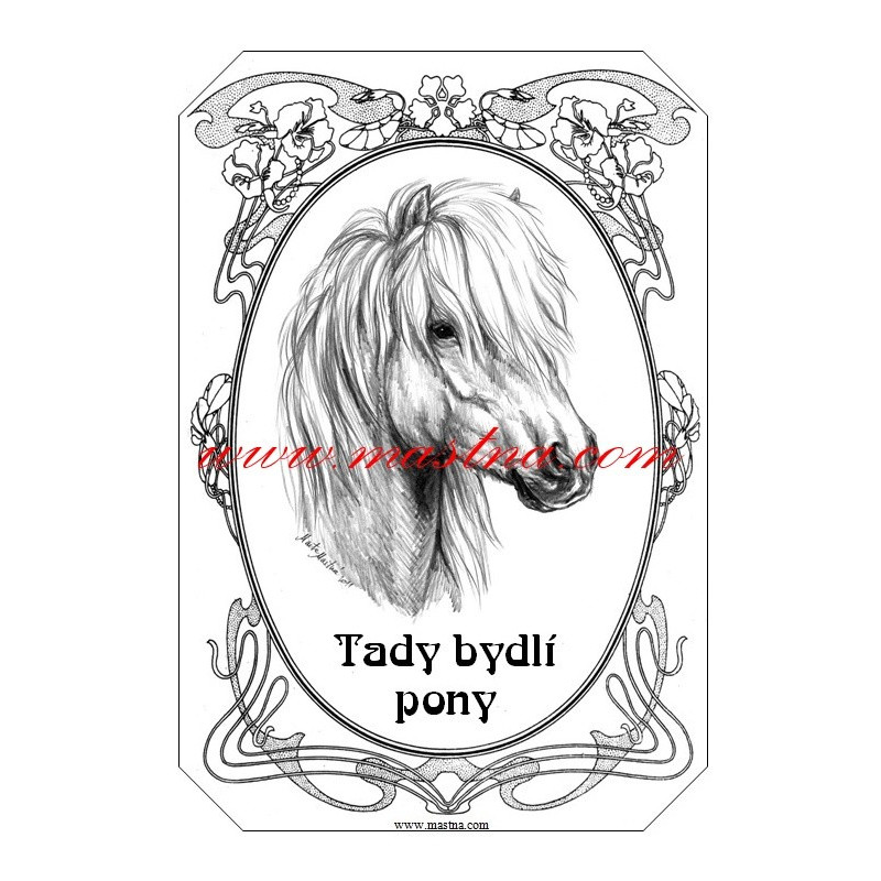 Tabulka pony, shetland