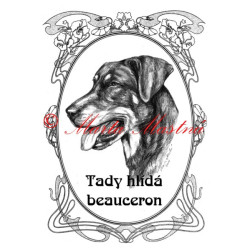 Tabulka francouzský ovčák beauceron