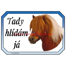 Cedulka shetland, pony, kůň, koně