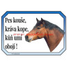 Cedulka kůň, koně, hucul