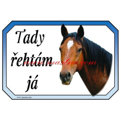 Cedulka plnokrevník, kůň, koně
