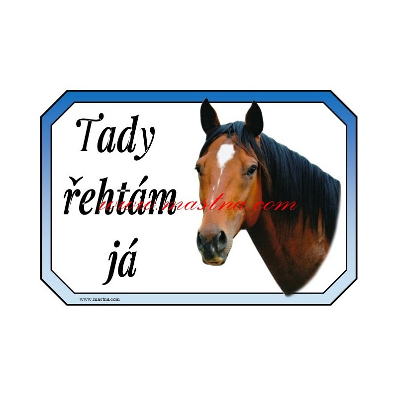 Cedulka plnokrevník, kůň, koně