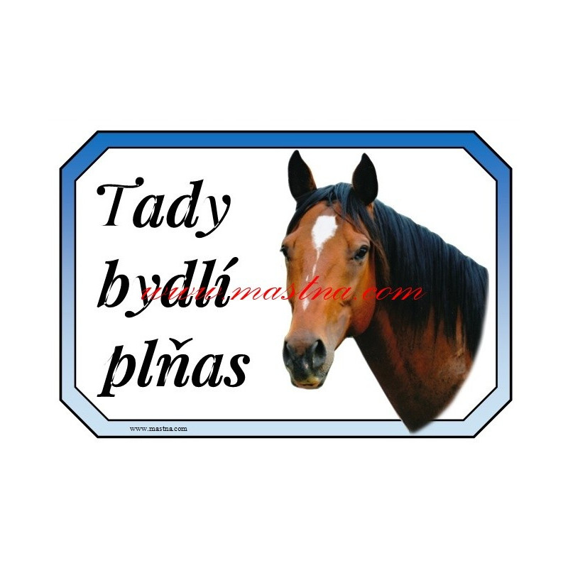 Cedulka plnokrevník, kůň, koně