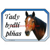 Cedulka plnokrevník, kůň, koně