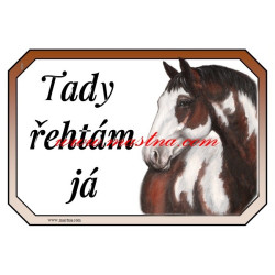 Cedulka paint, kůň, koně. western