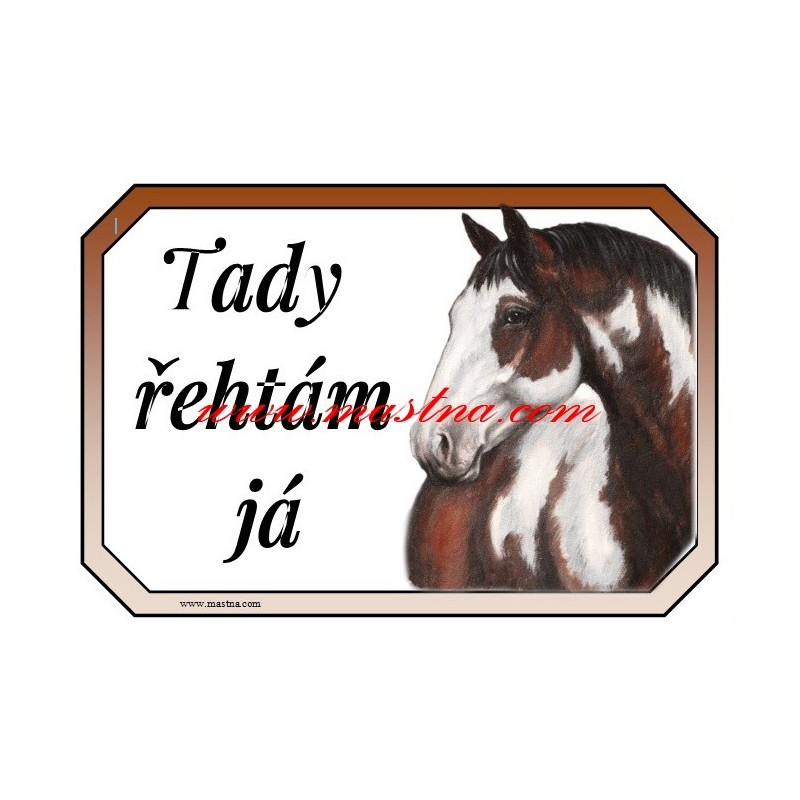 Cedulka paint, kůň, koně. western