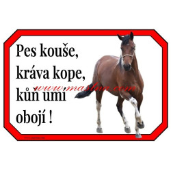 Cedulka paint, kůň, koně. western