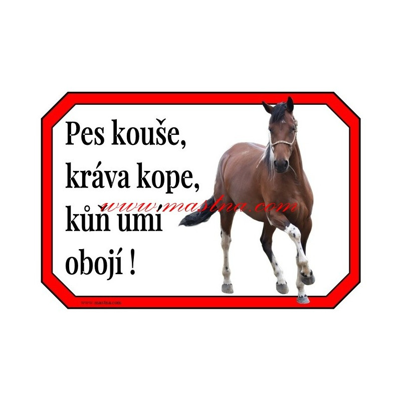 Cedulka paint, kůň, koně. western