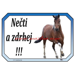 Cedulka paint, kůň, koně. western