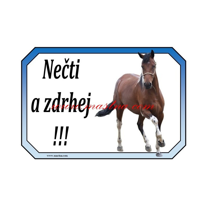 Cedulka paint, kůň, koně. western