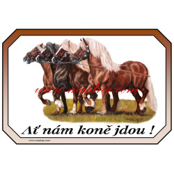 Cedulka chladnokrevníci, kůň, koně