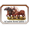 Cedulka chladnokrevníci, kůň, koně