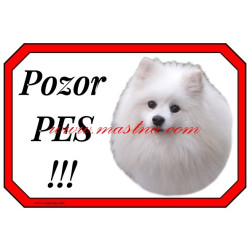 Cedulka špic, pomeranian