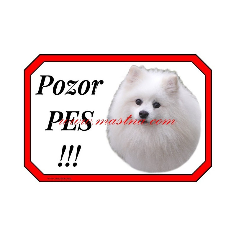 Cedulka špic, pomeranian