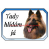 Cedulka belgický ovčák tervueren