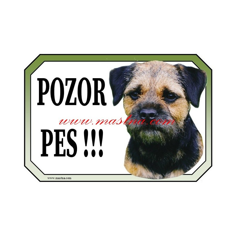 Cedulka border teriér