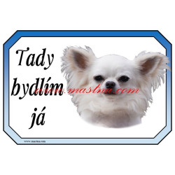 Cedulka čivava, chihuahua