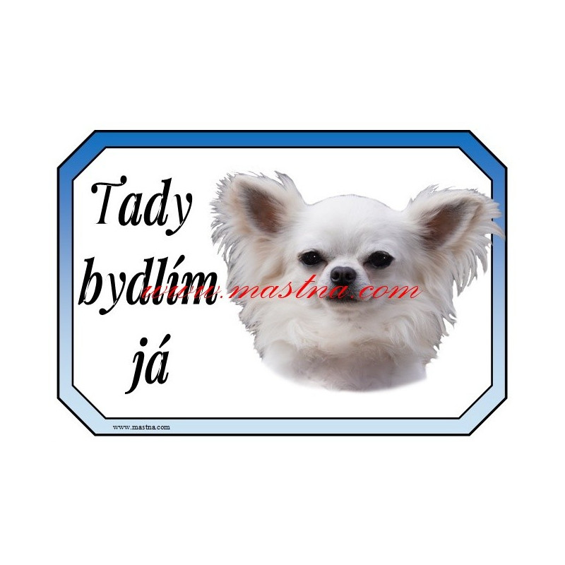 Cedulka čivava, chihuahua