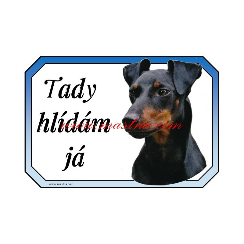 Cedulka manchester teriér