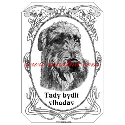 Tabulka irský vlkodav