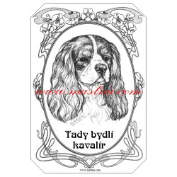 Tabulka kavalír Charles španěl